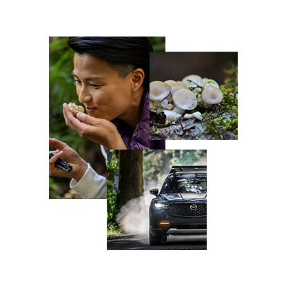 2023 Mazda CX-50 Tasting Wild – Old Growth Forest – Harmonious Driving Experience 2023 Mazda CX-50 Tasting Wild – Old Growth Forest – Harmonious Driving Experience